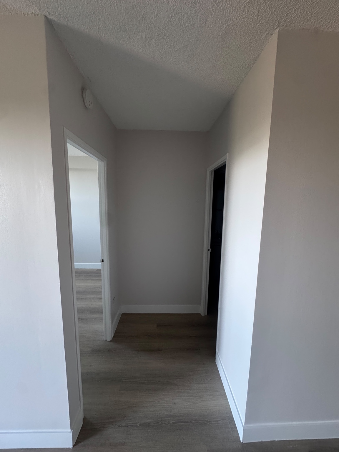 Freshly painted condo hallway