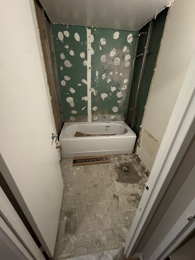 Bathroom finishes removed during demolition
